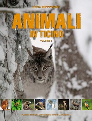 Animali in Ticino - Vol. 1